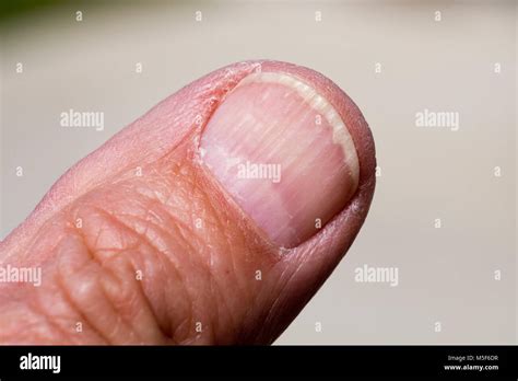 Left unpainted hi-res stock photography and images - Alamy