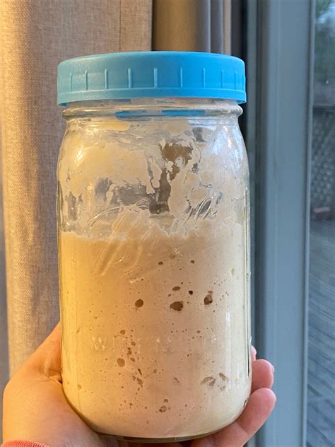 No Waste, 2 ingredient Sourdough Starter Recipe | 7-Day Step by Step
