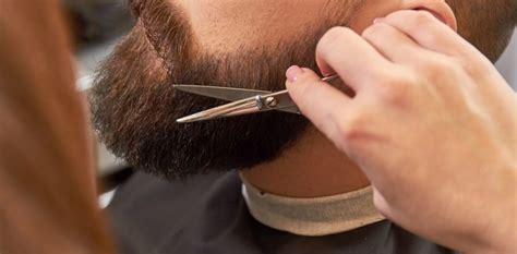 reasons    barber trim  beard whiskers mens grooming