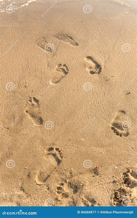 Footprints in the Sand at Sunset Stock Image - Image of beach, ocean ...