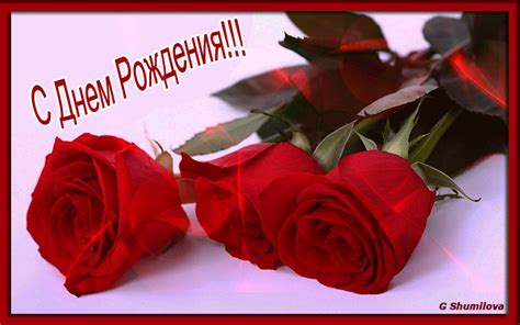 С Днем Рождения ! ! ! Три красные розы - Мир картинок анимаций