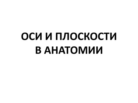 Оси и плоскости в анатомии - презентация онлайн