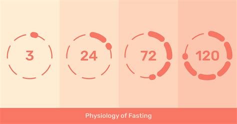 The Physiology of Fasting - Zero Longevity