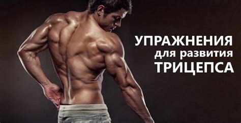 Лучшие упражнения на трицепс | Как накачать трицепс быстро