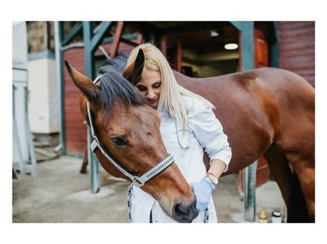 money  horses  ways great profit wildchildretire