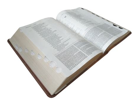 holy bible cutouts holy bible book copy  res stock photography