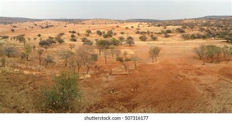 6,868 African Veld Images, Stock Photos & Vectors | Shutterstock