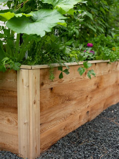 The Best Type of Wood to Use for a Raised Garden Bed • Gardenary