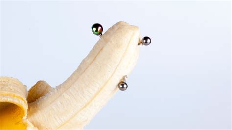 legend   prince albert piercing