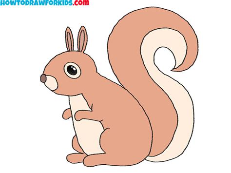 how to draw a squireel