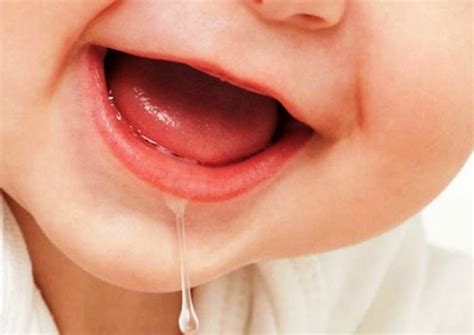 Saliva - Definition of Saliva