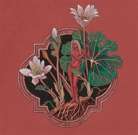 The Green Mysteries Daniel Schulke 5