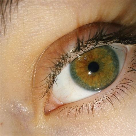 Глаз Beautiful Eyes Color, Lip Liner, Eye Color, Green, Lip Pencil ...