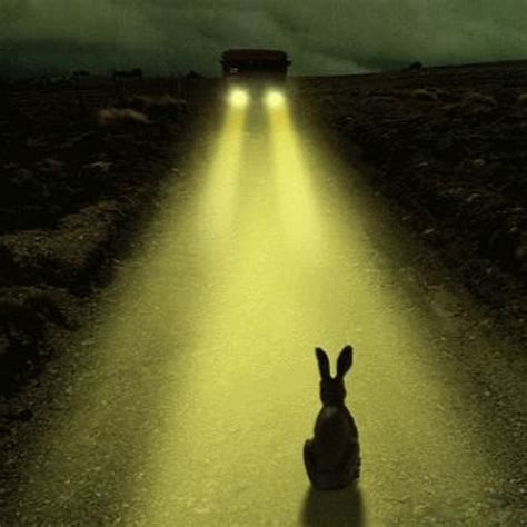 Stream Rabbit In The Headlights (RezrX Remix) by RezrX | Listen online ...