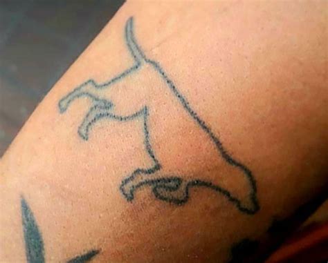 Stick and Poke Tattoo Kit Review