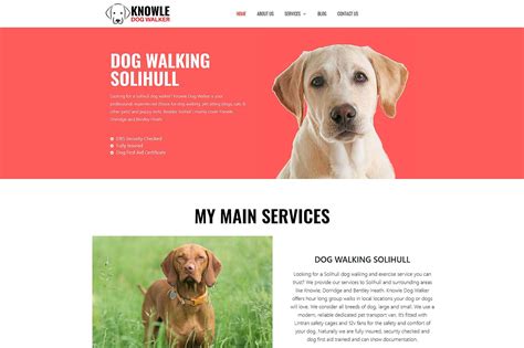 dog walking website    top  google  succeed
