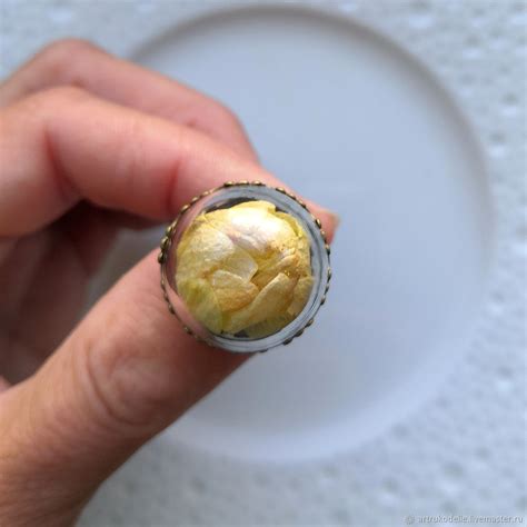 Кольцо Хмель. Стеклянная полусфера с настоящей шишечкой хмеля купить в ...