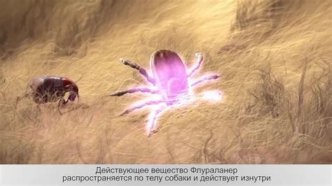 Бравекто