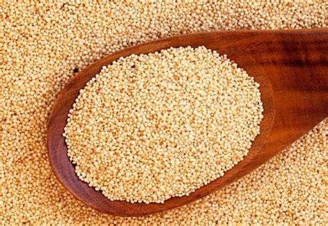 Зерна Амаранта Харьковский сорт 100г от продавца: SpicyMarket – купить ...
