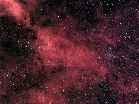 IC 1311 in Cygnus
