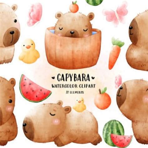 Cute Capivara em Aquarela Clipart | Elo7 Produtos Especiais