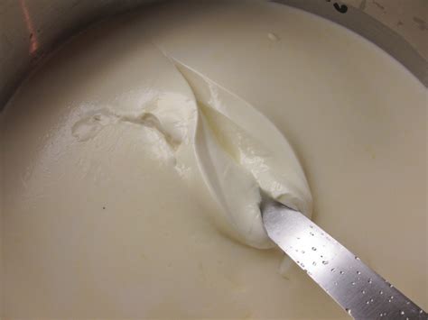 Caciocavallo Recipe | Cheese Maker Recipe | Cheese Making