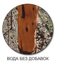 Купить ВЕТЦИТ в Краснодаре. Производитель