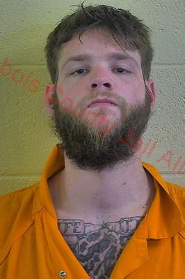 Police investigating St. Anthony murder; one arrested - Dubois County ...