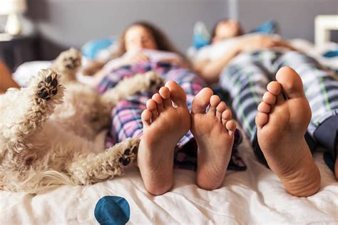 The Canine Slumber Squad: 7 Surprising Ways Dogs Pick Their Sleeping Buddies