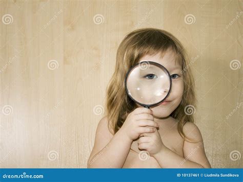 examine closely stock image image  beech investigate