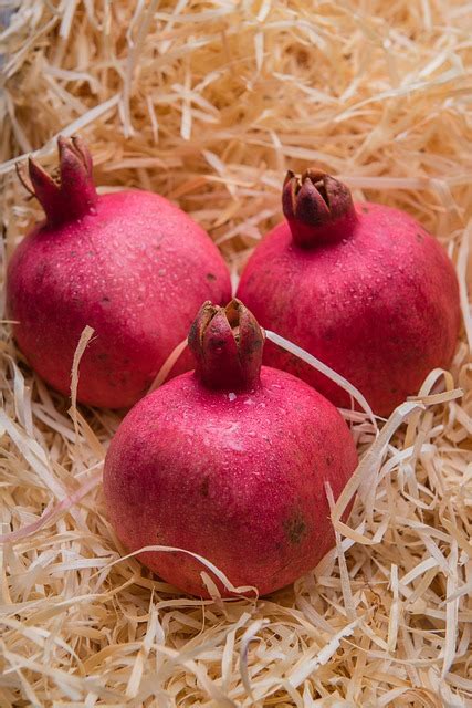 Fruits Healthy Organic - Free photo on Pixabay - Pixabay