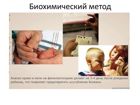 Закономерности изменчивости - презентация онлайн
