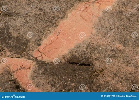 Diabase Igneous Rock Texture Pink Splashes, Horizontal Background Stock ...