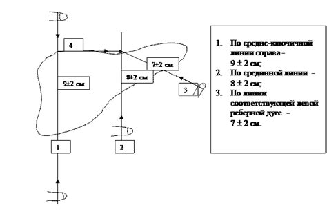 Пальпация и перкуссия печени