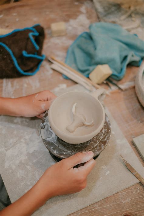 Creation Photos, Download The BEST Free Creation Stock Photos & HD Images