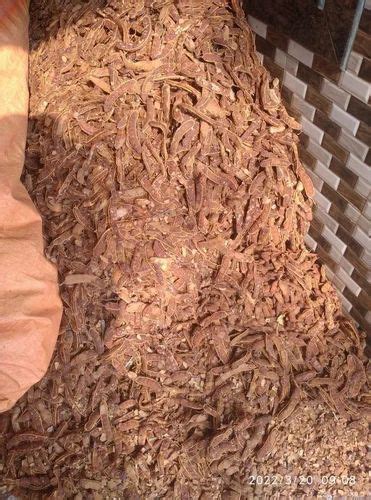 seed imli   price  mysore id