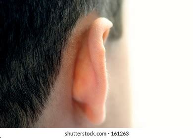 15,284 Behind Ear Images, Stock Photos & Vectors | Shutterstock