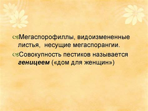 Генеративные органы растений - презентация онлайн
