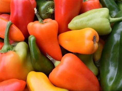 Перец сладкий: популярный овощ, вкусный ингредиент, кулинарное ...