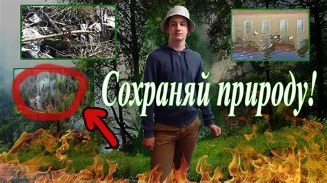 Сохраняй Природу! Лесные пожары. - YouTube
