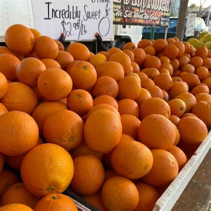 tahitian squash information recipes  facts