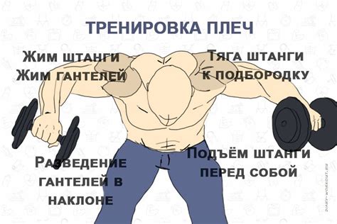Тренировка плеч