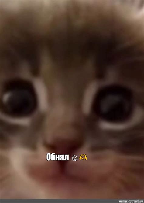 Meme: "Обнял ☺️🫶" - All Templates - Meme-arsenal.com