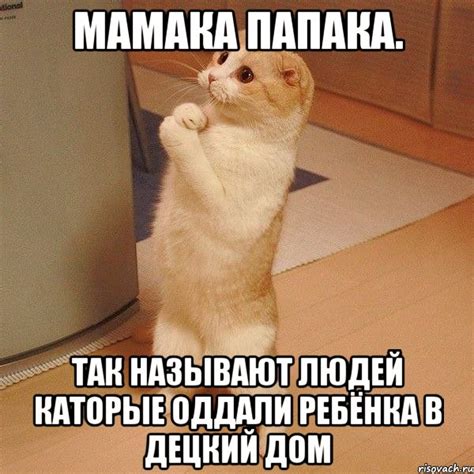 мамака папака. так называют людей каторые оддали ребёнка в децкий дом ...