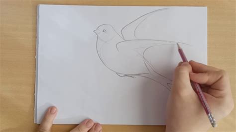 как быстро нарисовать ласточку - YouTube