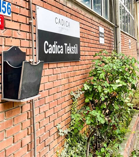 Company - CADICA