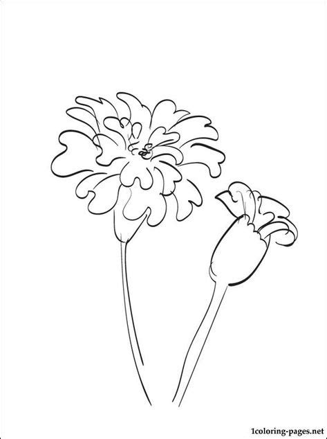 16 Cempasuchil tattoo ideas | marigold tattoo, marigold flower, marigold