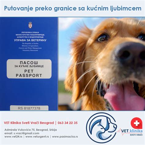 Pin on PAS i MAČKA