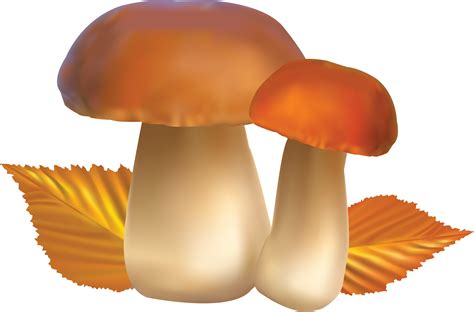Гриб картинка png