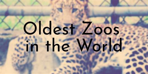 11 Oldest Zoos in the World - Oldest.org